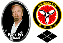 Biography of David A. Dye Sensei - Budo Master